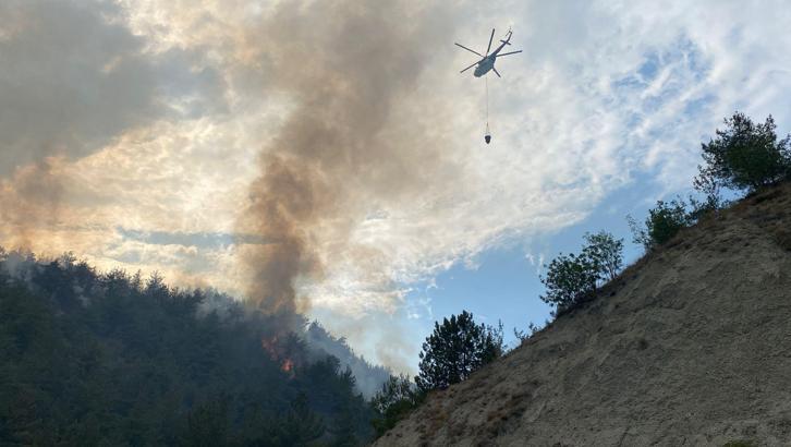 Karabük’te orman yangını