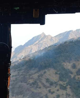 Şırnak’ta ormanda örtü yangını (2)