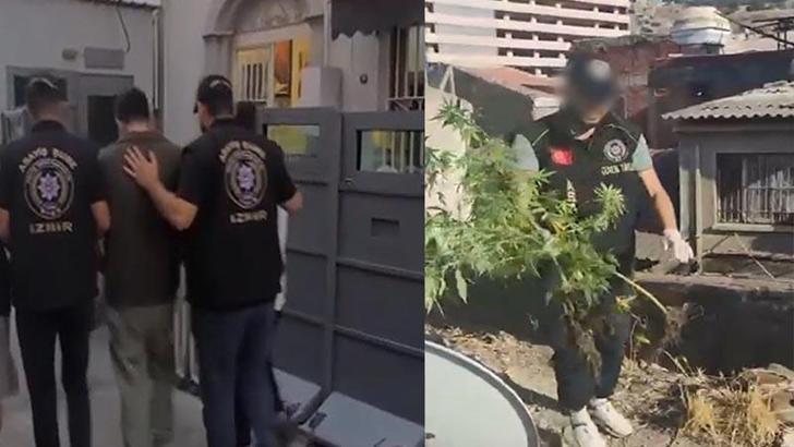 İş yeri çatısında kenevir yetiştiren 3 şüpheliye gözaltı