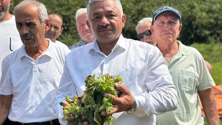 TZOB Üyesi Soydan: Fındığı tabanın üzerinde fiyat oluşması için kontrollü şekilde pazara indireceğiz