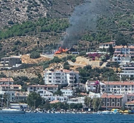 Muğla'da maki yangınında 1,5 dönüm alan zarar gördü