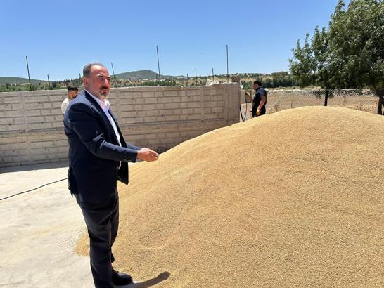 Bingöl’de 2 bin 750 ton buğday hasat edildi