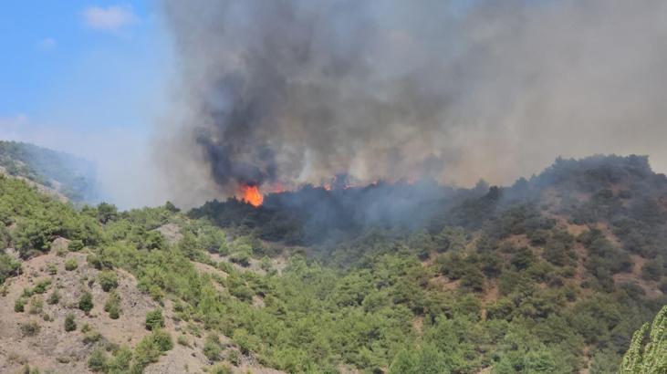Tokat’ta orman yangını