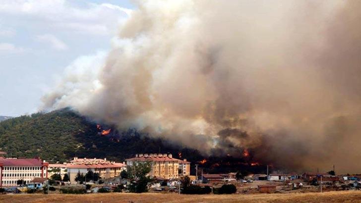 Edirne'de makilikte çıkıp tarlaya sıçrayan yangın kontrol altında