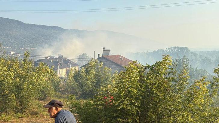 Bartın'da orman yangını kontrol altına alındı