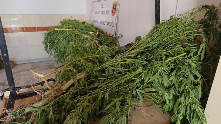 Hatay'da uyuşturucu operasyonu: 5 gözaltı