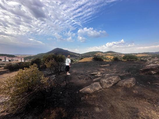 Edirne’deki yangında 13 hektar orman ve tarım alanı zarar gördü