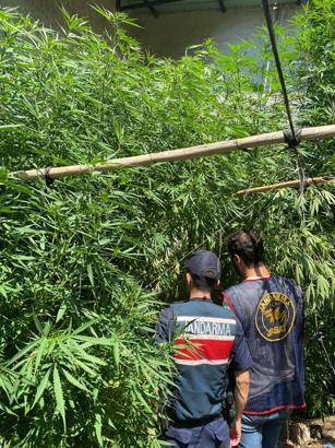 Evinde uyuşturucuyla yakalanıp, gözaltına alındı