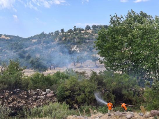 Manisa'da orman yangını, 5 dönüm zarar gördü