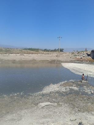 Hatay’da balık ölümleri yaşandı