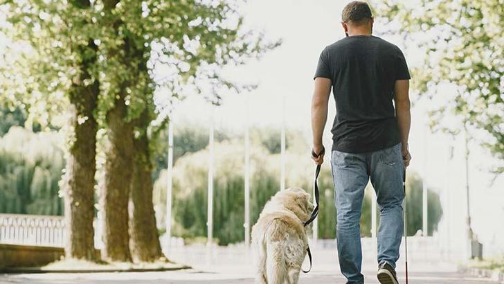 Görme engelli bireyi rehber köpekle sosyal tesise almayan belediyeye para cezası