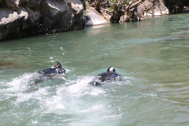 3 ay önce derede kaybolan İbrahim, yeniden aranıyor