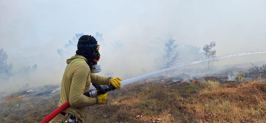 Bolu'da orman yangını
