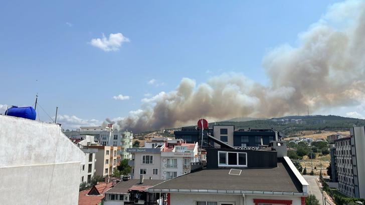 Çanakkale'de orman yangını
