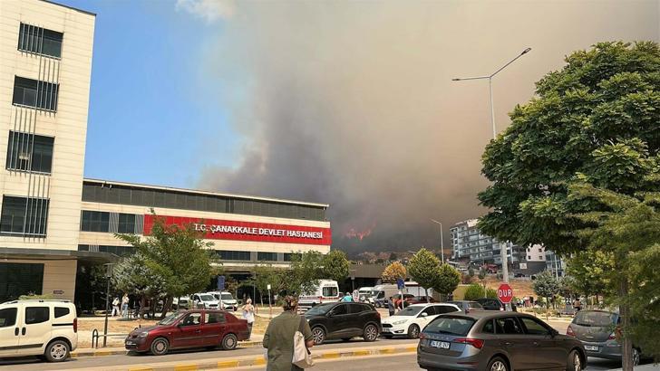 Çanakkale'de orman yangını (2)