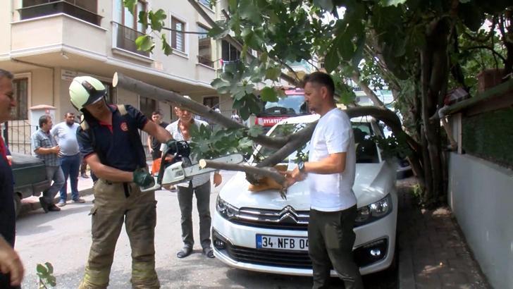 İstanbul - Çekmeköy’de kamyonetin çarptığı ağaç, park halindeki otomobilin üzerine devrildi