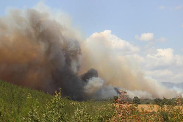 Çanakkale'de orman yangını (5)