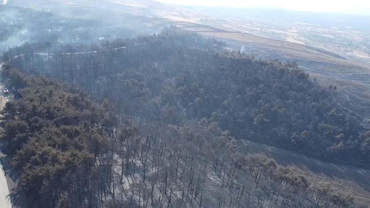 Çanakkale'deki orman yangını ikinci gününde; yanan alanlar ve evler havadan görüntülendi (4)