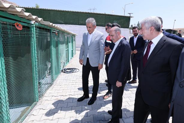 Bakan Yardımcısı Aktaş, sahipsiz hayvanlar için yapılan çalışmaları inceledi