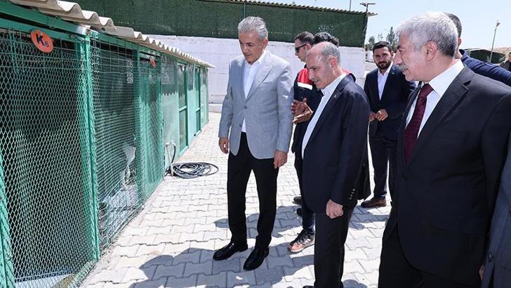 Bakan Yardımcısı Aktaş, sahipsiz hayvanlar için yapılan çalışmaları inceledi