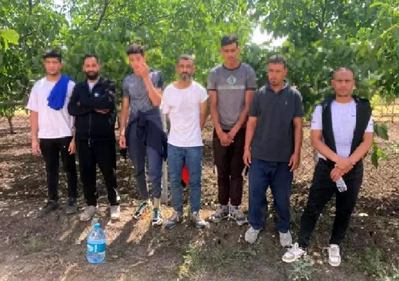 Edirne’de 9 kaçak göçmen yakalandı