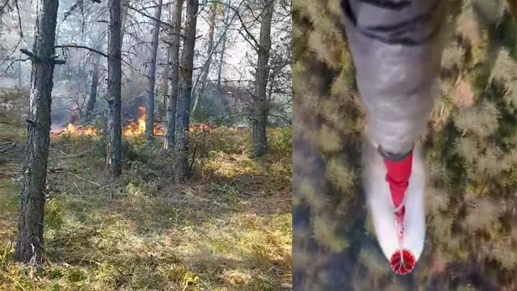 Sinop'ta orman yangını