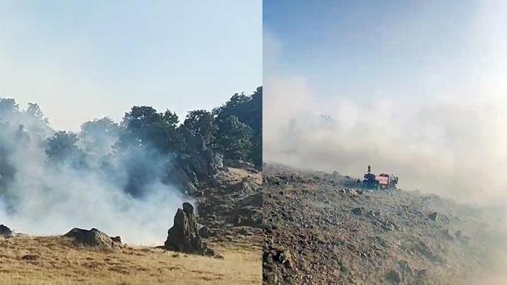 Aksaray'daki orman yangını kontrol altında