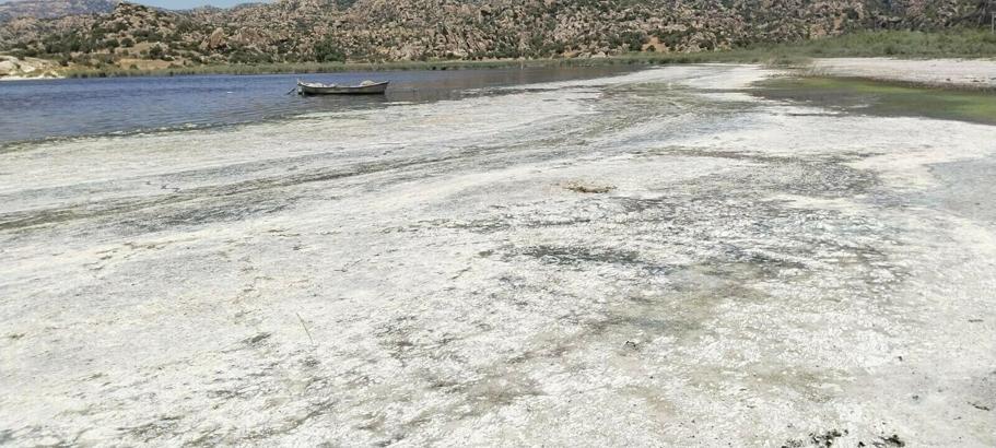 Bafa Gölü ve çevresinde kirlilik alarmı