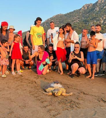 'Tuba'nın da aralarında bulunduğu 7 deniz kaplumbağası tekrar denizle buluştu