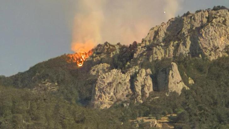 Sinop'taki orman yangını kontrol altına alındı