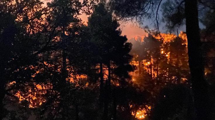 Eğirdir'de orman yangını kontrol altında