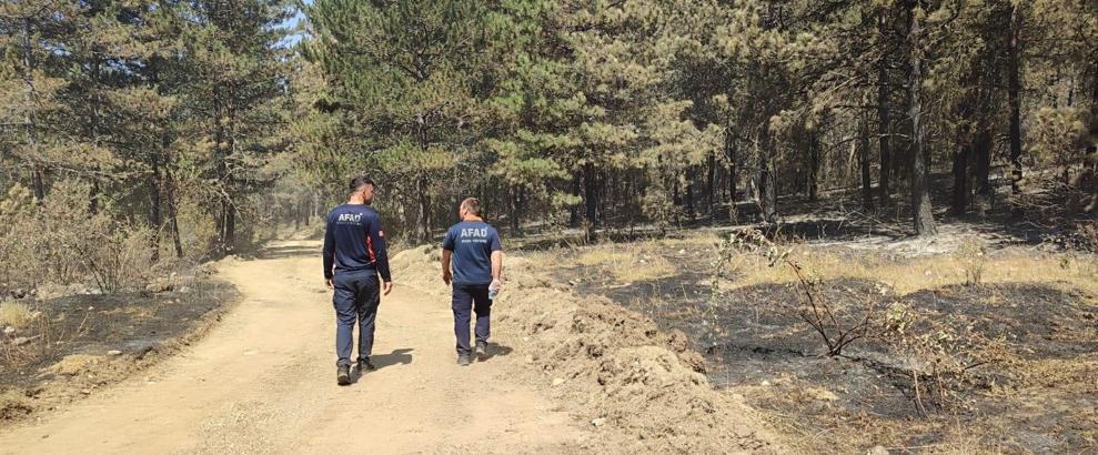 Sinop'taki orman yangını kontrol altına alındı (2)
