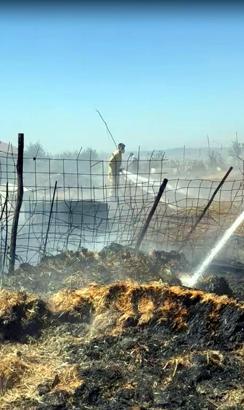 Tekirdağ’da çiftlikte yangın; 11 büyükbaş telef olmaktan son anda kurtarıldı