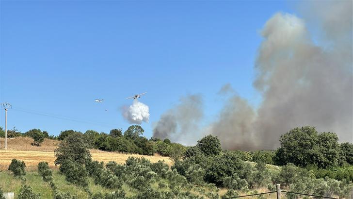 Çanakkale orman yangını (2)