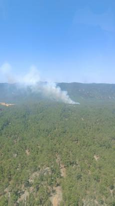 Mersin'de orman yangını