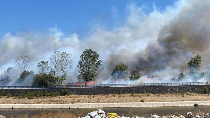 Çanakkale'de Ayvacık'ta da orman yangını çıktı