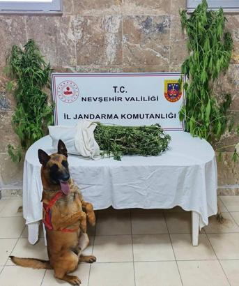Nevşehir'de 1 kişiye uyuşturucu gözaltısı