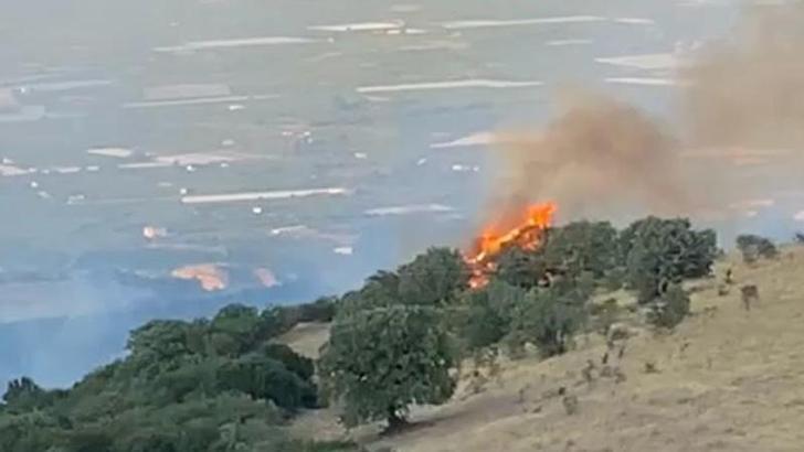 Manisa’da tarladaki yangın, makiliğe sıçradı