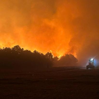 Edirne'de orman yangını/ Ek fotoğraflar
