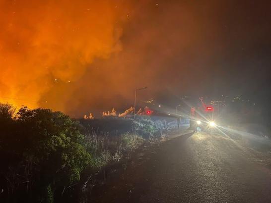 Hatay'da orman yangını (2)