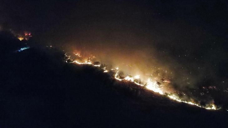 Edirne'de orman yangını (4)