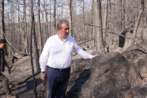 Destici: Ormanlarımızı yakanlar ifşa edilsin