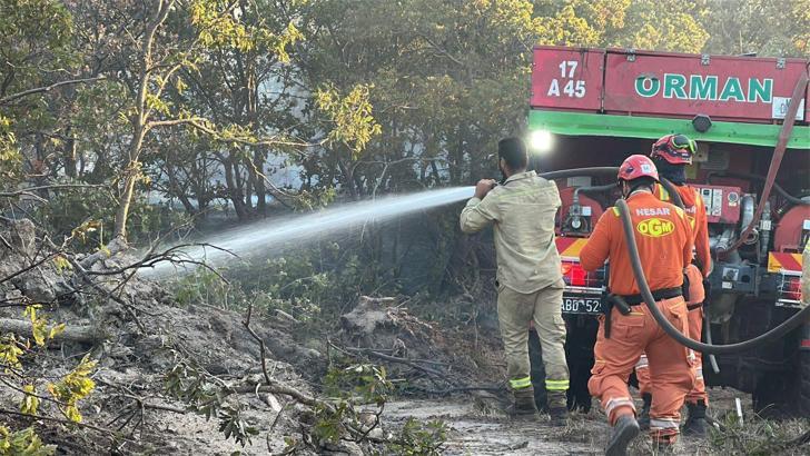Edirne'deki orman yangını 16 saatte kontrol altına alındı / Ek fotoğraflar