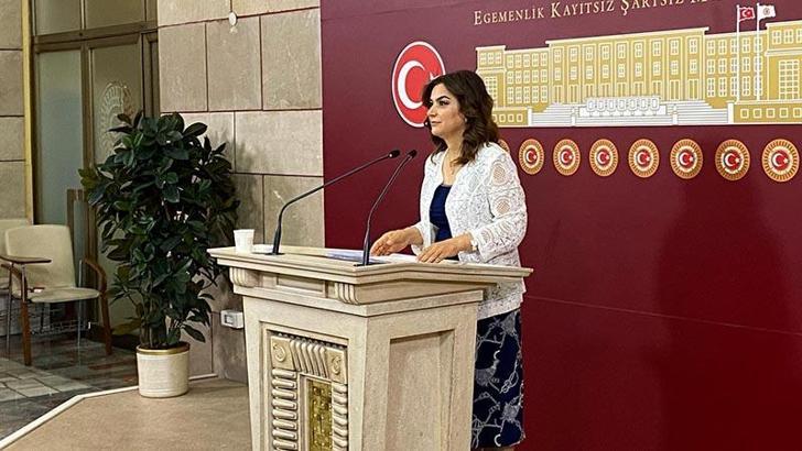 DEM Parti'li Koçyiğit: Komisyon, sürecin hukuksal teminatını sağlamalı