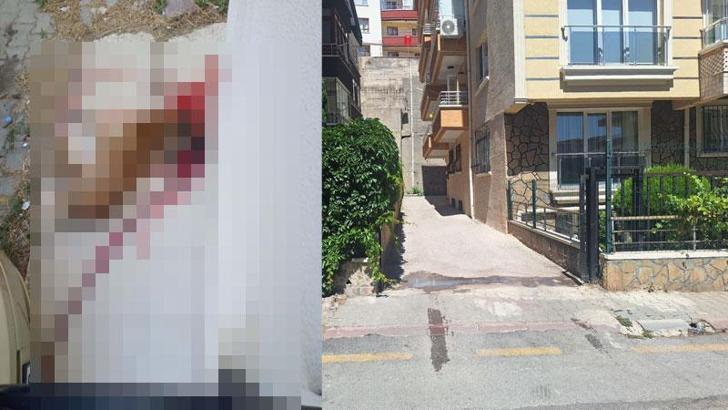 Polis, kendisine saldırdığını iddia ettiği sokak köpeğini tabancayla öldürdü