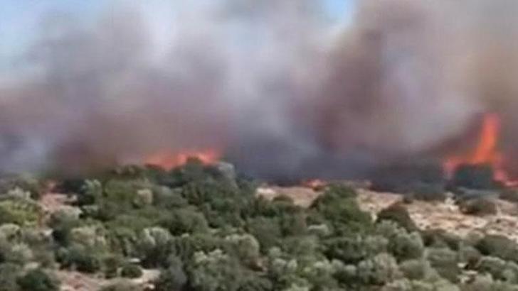 İzmir'de makilik yangını