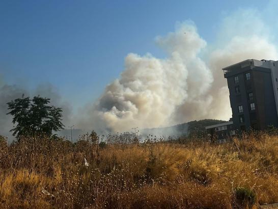 İzmir’de minibüste çıkan yangın ormana sıçradı