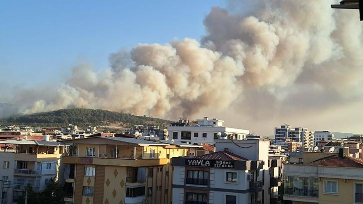 İzmir'de minibüste çıkan yangın ormana da sıçradı (2)