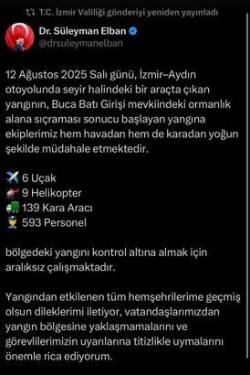 İzmir'de minibüste çıkan yangın ormana sıçradı (4)