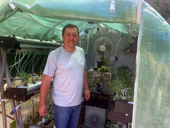 Evinin bahçesine sera kuran profesörden organik üretim